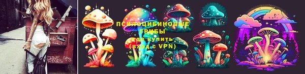 2c-b Богородск
