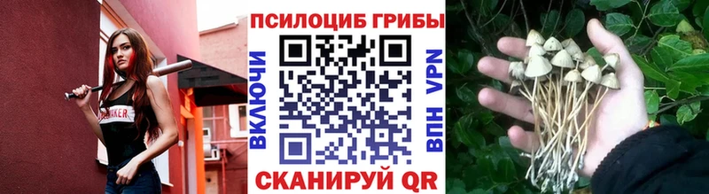 Псилоцибиновые грибы Magic Shrooms  Купить  Нижние Серги 
